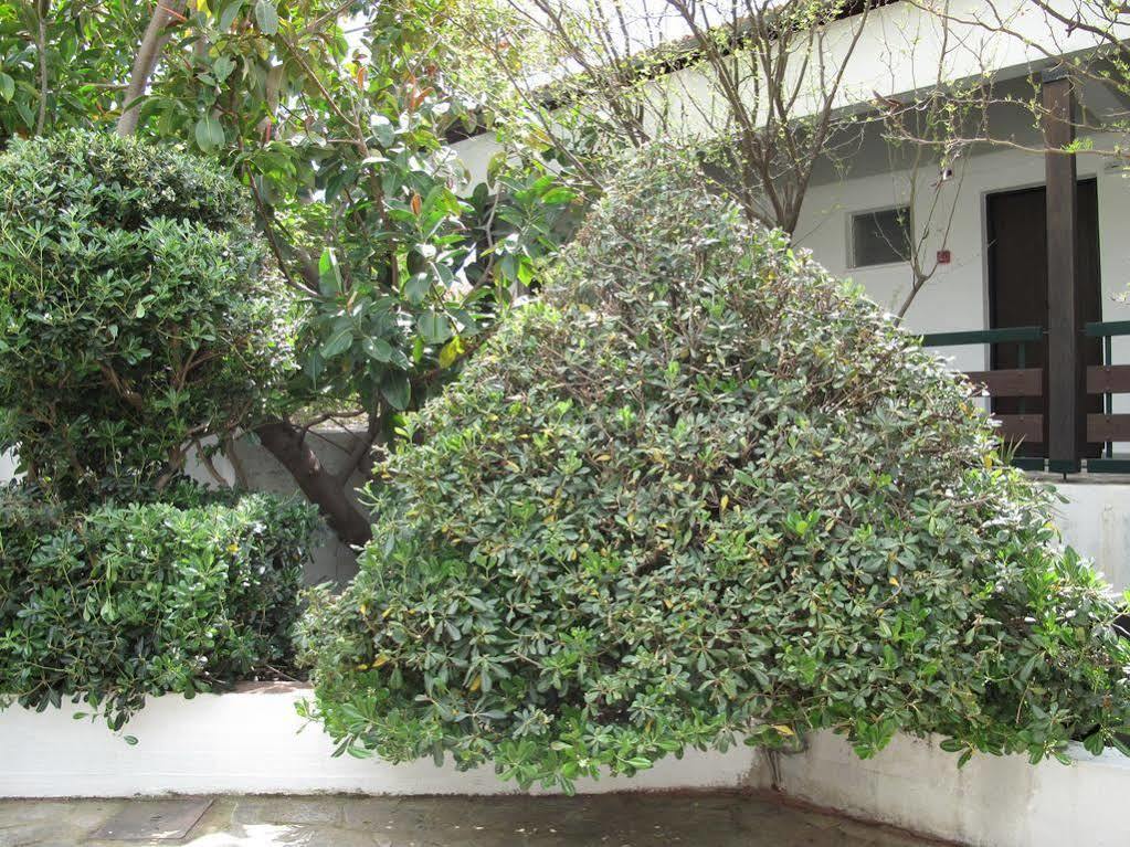 Sunningdale Hotel Agia Galini  Exterior photo